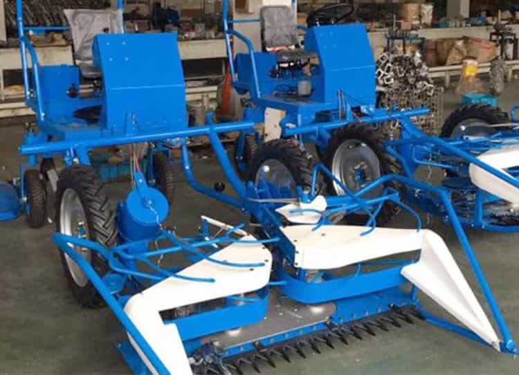 تصویر 4 از دروگر گندم بافه بلند برای برداشت تمیز و منظم در زمین های وسیع